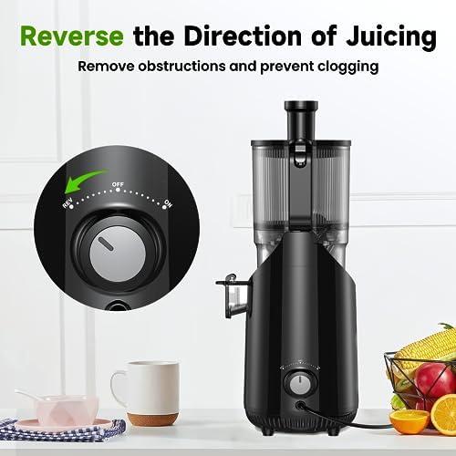 Juicing Made Effortless: Our Review of the Amumu Cold Press Juicer